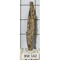 Bogwood 142