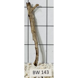 Bogwood 143