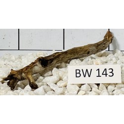 Bogwood 143