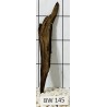 Bogwood 145