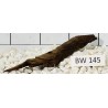 Bogwood 145