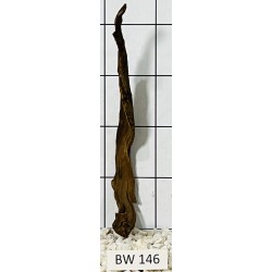 Bogwood 146