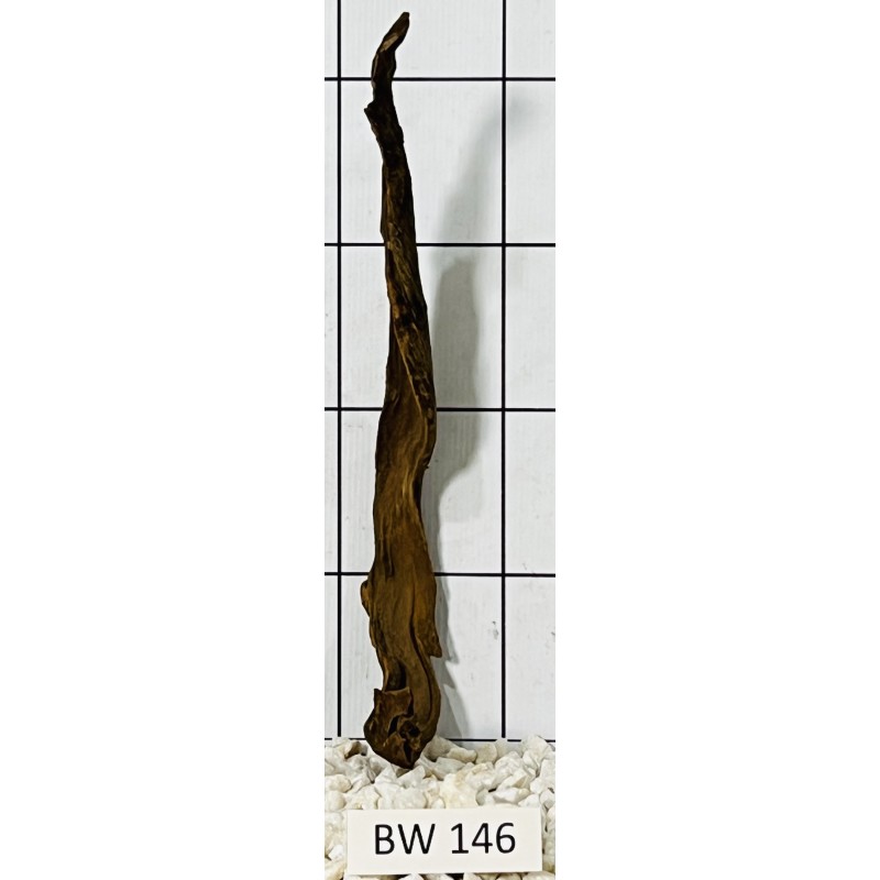 Bogwood 146