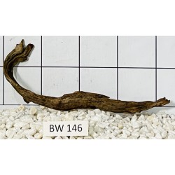 Bogwood 146