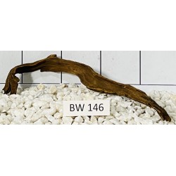Bogwood 146