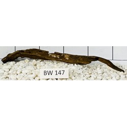 Bogwood 147