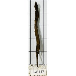 Bogwood 147