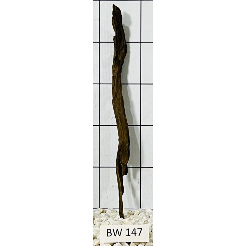 Bogwood 147