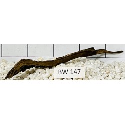 Bogwood 147