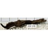 Bogwood 148