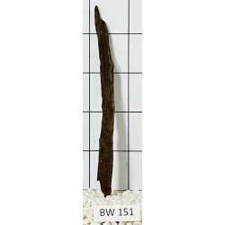 Bogwood 151