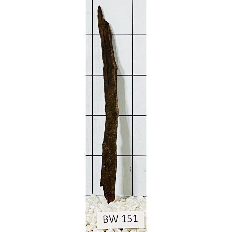 Bogwood 151