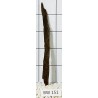 Bogwood 151
