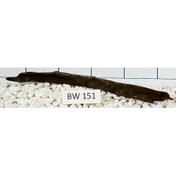 Bogwood 151