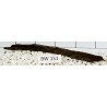 Bogwood 151