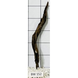 Bogwood 152