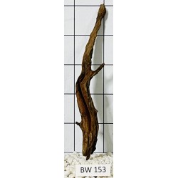 Bogwood 153