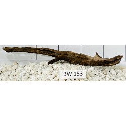 Bogwood 153
