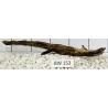 Bogwood 153