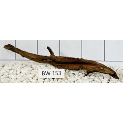Bogwood 153