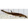 Bogwood 153