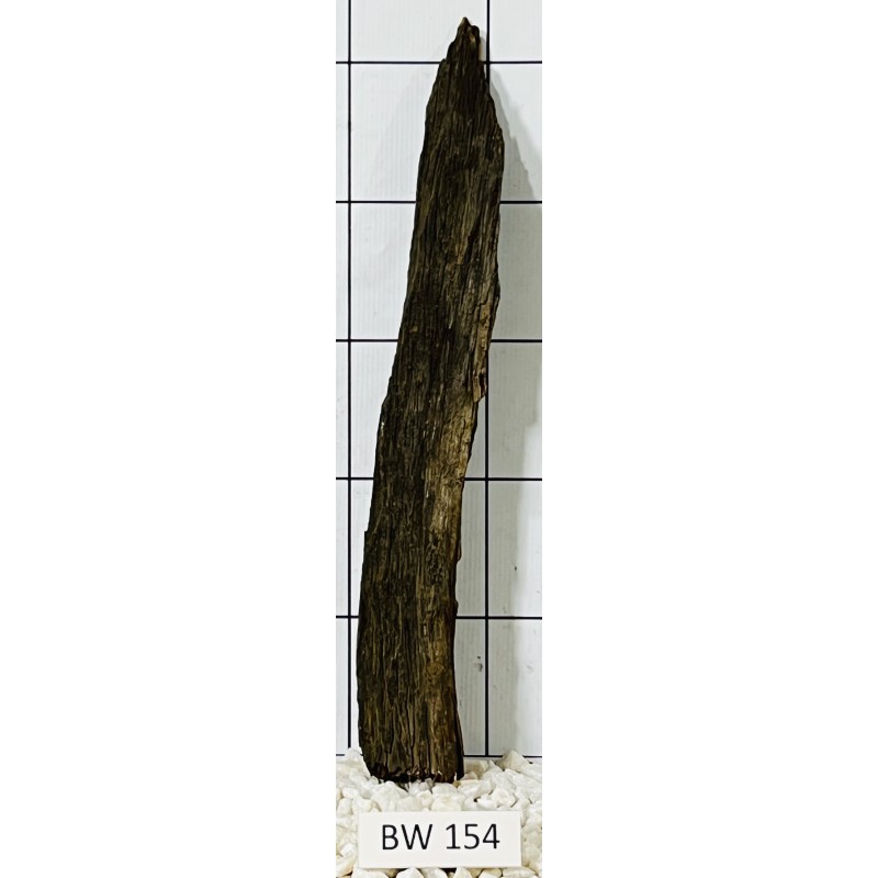 Bogwood 154