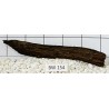 Bogwood 154