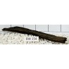 Bogwood 154