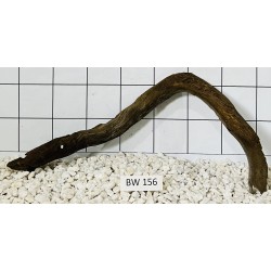 Bogwood 156