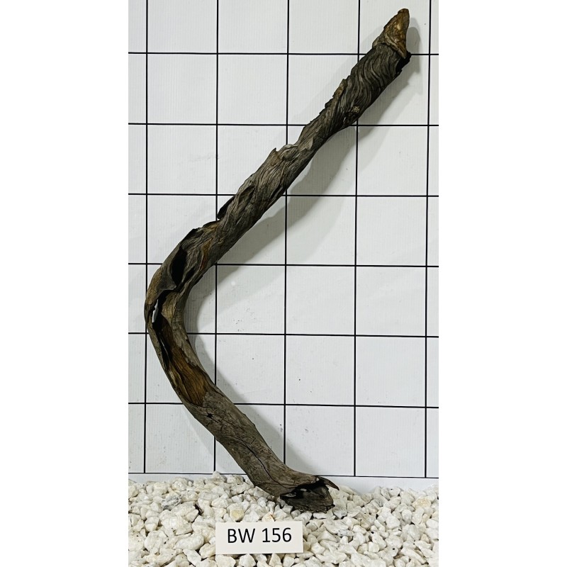 Bogwood 156