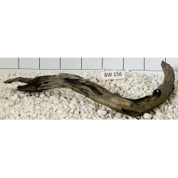 Bogwood 156