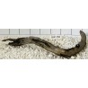 Bogwood 156