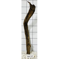 Bogwood 157