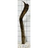 Bogwood 157
