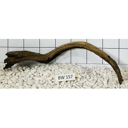 Bogwood 157