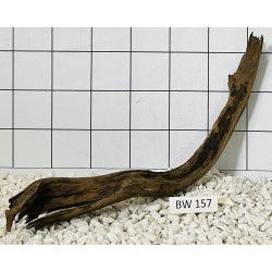 Bogwood 157