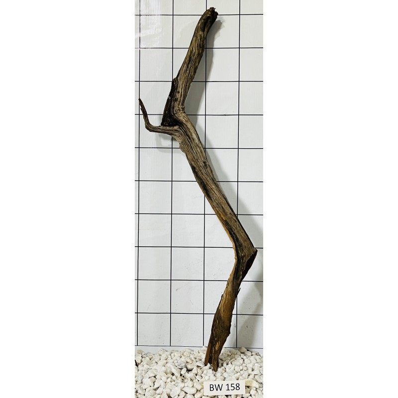 Bogwood 158