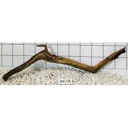 Bogwood 158