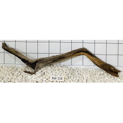 Bogwood 158