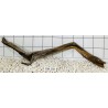 Bogwood 158