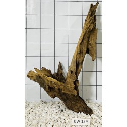 Bogwood 159