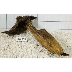Bogwood 159