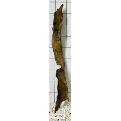 Bogwood 160