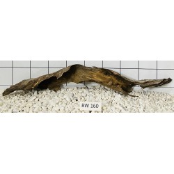Bogwood 160