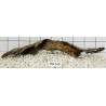 Bogwood 160