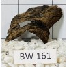 Bogwood 161