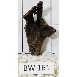 Bogwood 161