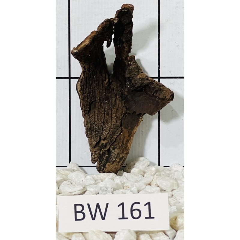 Bogwood 161