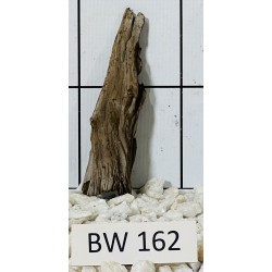 Bogwood 162