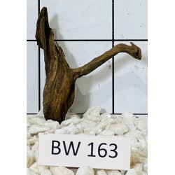 Bogwood 163